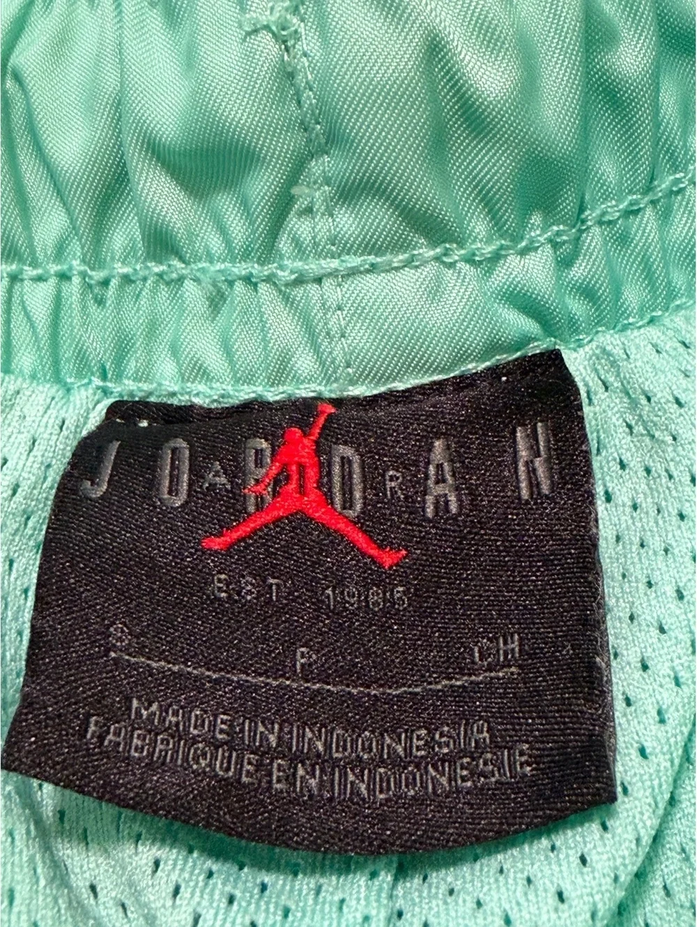 Jordan Men's Athletic Shorts in Mint Green Size Small